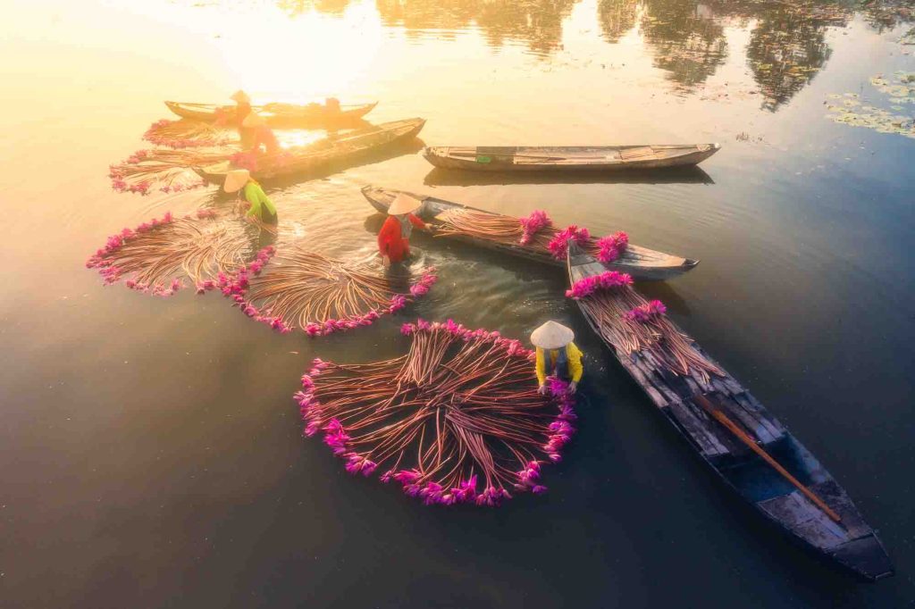 hoa sung, long an, phototour, firstclass, tournhiepanh