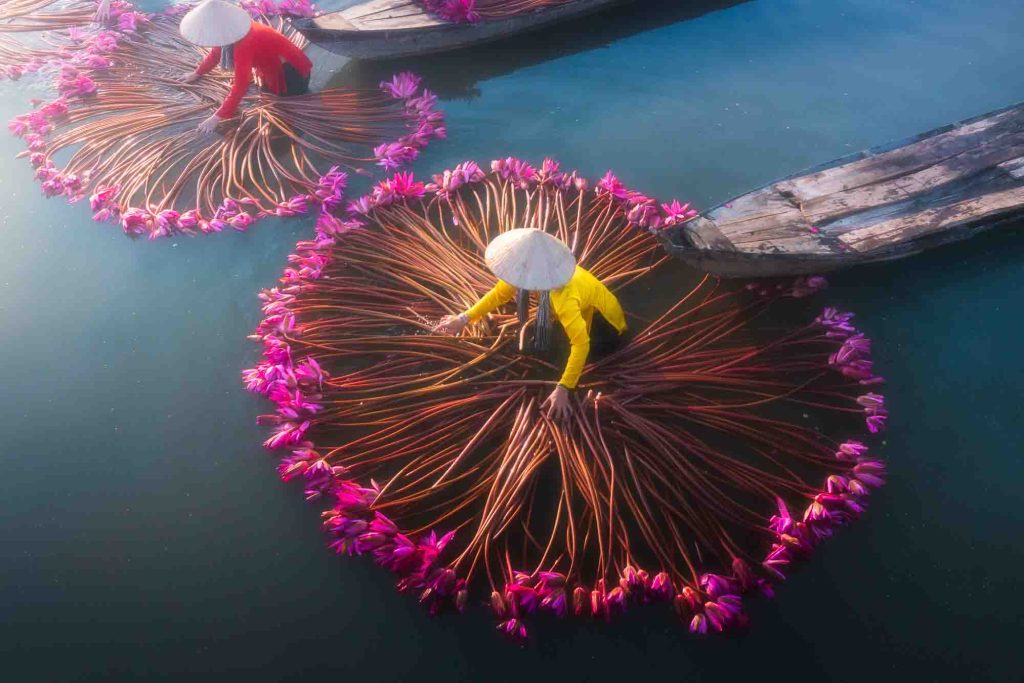 hoa sung, long an, phototour, firstclass, tournhiepanh