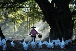 phototour, firstclass, tournhiepanh, xiapu, china, trung quoc