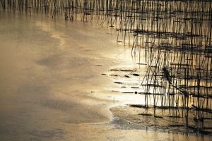 phototour, firstclass, tournhiepanh, xiapu, china, trung quoc