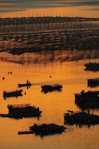 phototour, firstclass, tournhiepanh, xiapu, china, trung quoc