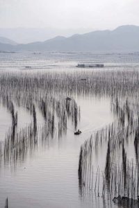 phototour, firstclass, tournhiepanh, xiapu, china, trung quoc
