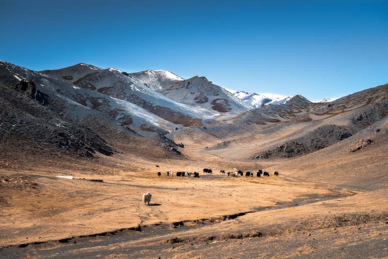 phototour, firstclass, tournhiepanh, mongolia, mong co