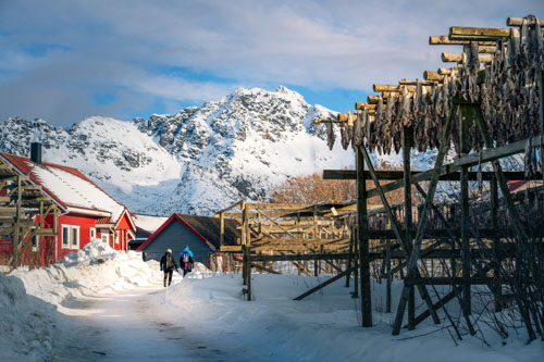 phototour, firstclass, tournhiepanh, iceland, norway, aurora